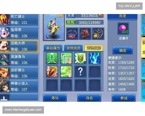 神武手游饰品_神武手游60项链:神武饰品,构筑你的华丽传奇 神武手游饰品_神武手游60项链:神武饰品,构筑你的华丽传奇