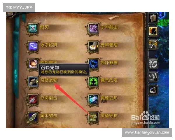 魔兽世界怀旧服猎人:屠龙师技能全攻略 魔兽世界怀旧服猎人:屠龙师技能全攻略